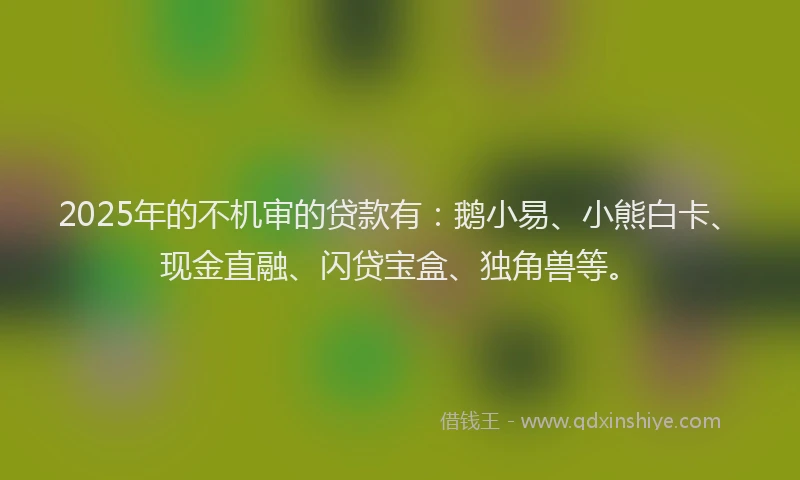 2025年的不机审的贷款有：鹅小易、小熊白卡、现金直融、闪贷宝盒、独角兽等。