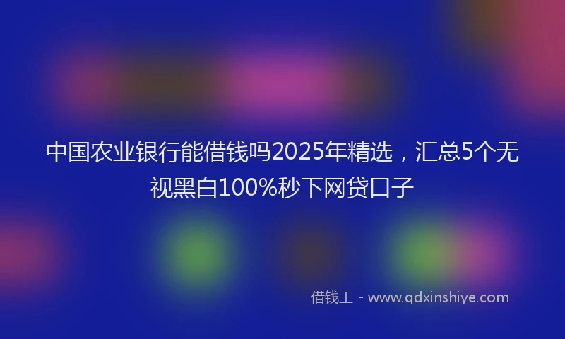中国农业银行能借钱吗2025年精选，汇总5个无视黑白100%秒下网贷口子