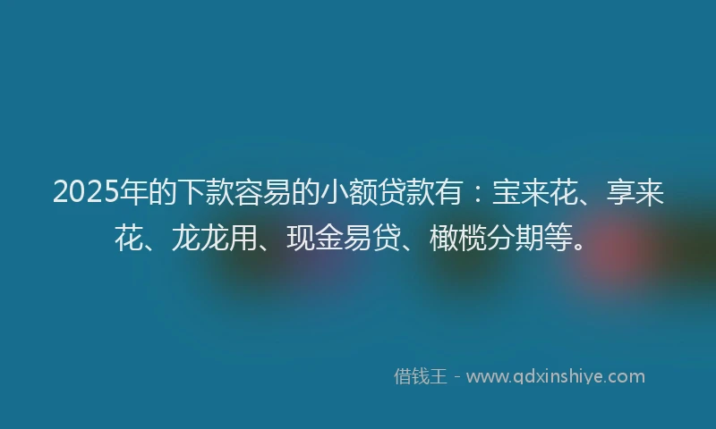 2025年的下款容易的小额贷款有：宝来花、享来花、龙龙用、现金易贷、橄榄分期等。