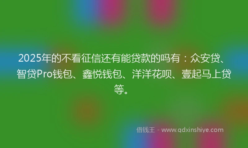 2025年的不看征信还有能贷款的吗有：众安贷、智贷Pro钱包、鑫悦钱包、洋洋花呗、壹起马上贷等。