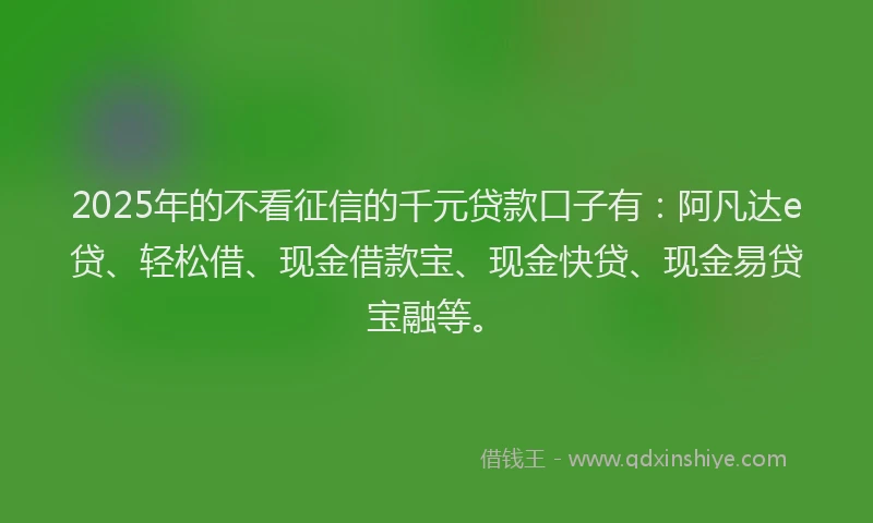 2025年的不看征信的千元贷款口子有：阿凡达e贷、轻松借、现金借款宝、现金快贷、现金易贷宝融等。
