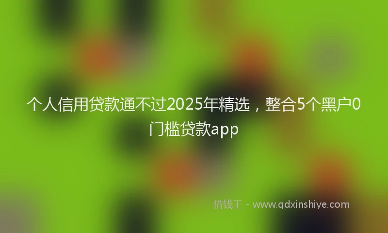 个人信用贷款通不过2025年精选，整合5个黑户0门槛贷款app