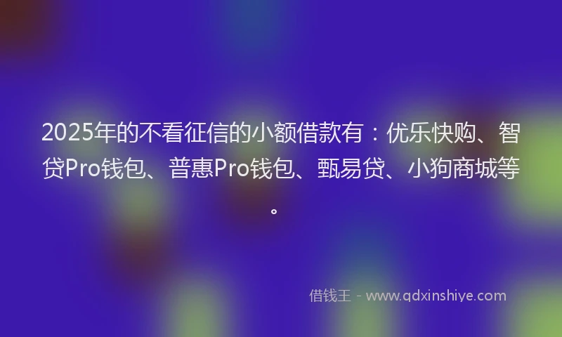 2025年的不看征信的小额借款有：优乐快购、智贷Pro钱包、普惠Pro钱包、甄易贷、小狗商城等。