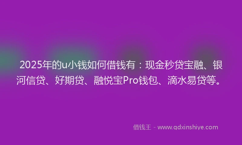 2025年的u小钱如何借钱有：现金秒贷宝融、银河信贷、好期贷、融悦宝Pro钱包、滴水易贷等。