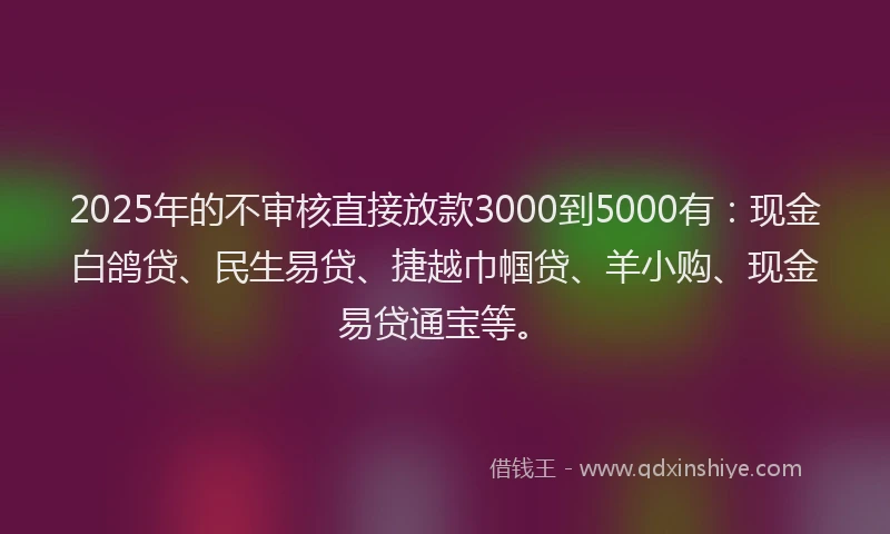 2025年的不审核直接放款3000到5000有：现金白鸽贷、民生易贷、捷越巾帼贷、羊小购、现金易贷通宝等。