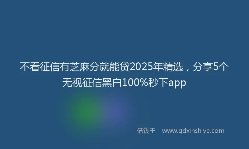 不看征信有芝麻分就能贷2025年精选，分享5个无视征信黑白100%秒下app