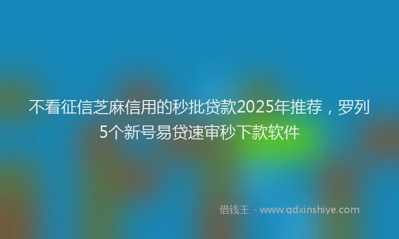 不看征信芝麻信用的秒批贷款2025年推荐，罗列5个新号易贷速审秒下款软件
