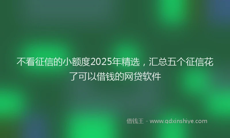 不看征信的小额度2025年精选，汇总五个征信花了可以借钱的网贷软件