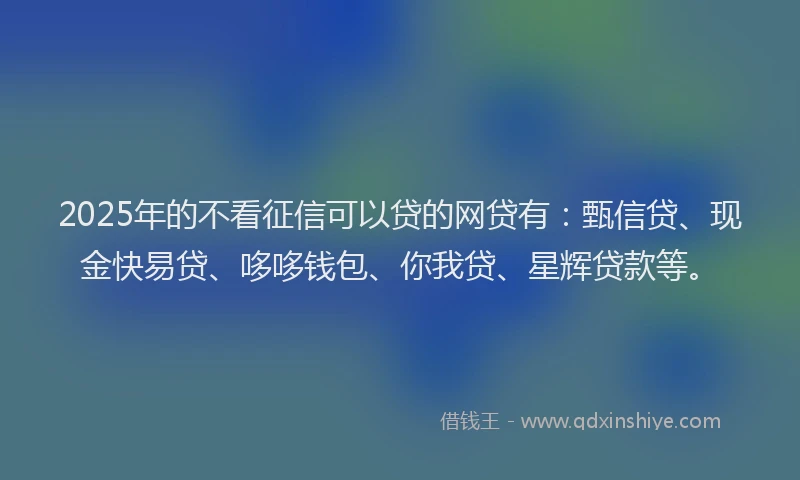 2025年的不看征信可以贷的网贷有：甄信贷、现金快易贷、哆哆钱包、你我贷、星辉贷款等。