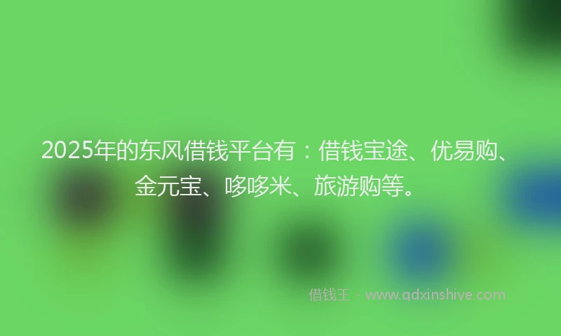 2025年的东风借钱平台有：借钱宝途、优易购、金元宝、哆哆米、旅游购等。