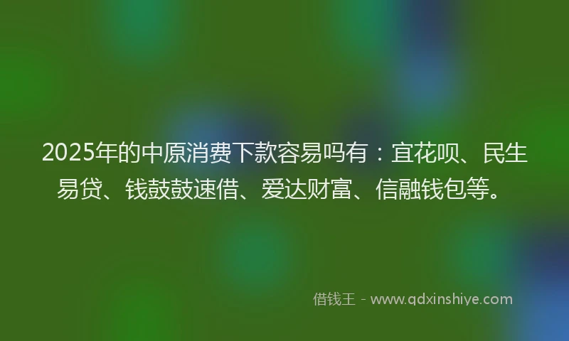 2025年的中原消费下款容易吗有:宜花呗、民生易贷、钱鼓鼓速借、爱达财富、信融钱包等。