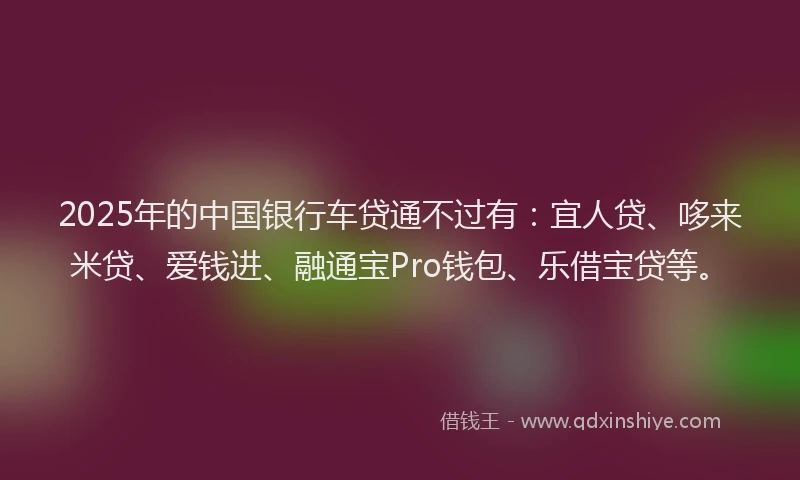 2025年的中国银行车贷通不过有：宜人贷、哆来米贷、爱钱进、融通宝Pro钱包、乐借宝贷等。