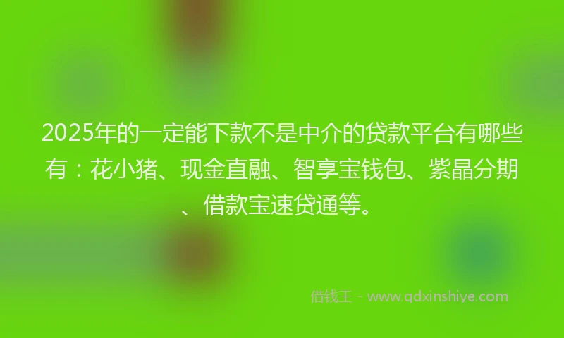 2025年的一定能下款不是中介的贷款平台有哪些有：花小猪、现金直融、智享宝钱包、紫晶分期、借款宝速贷通等。