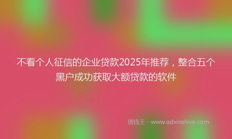 不看个人征信的企业贷款2025年推荐，整合五个黑户成功获取大额贷款的软件