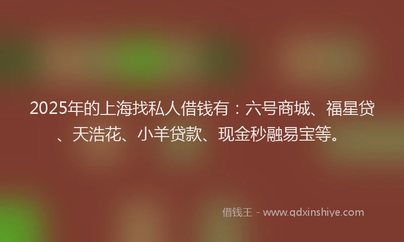 2025年的上海找私人借钱有：六号商城、福星贷、天浩花、小羊贷款、现金秒融易宝等。