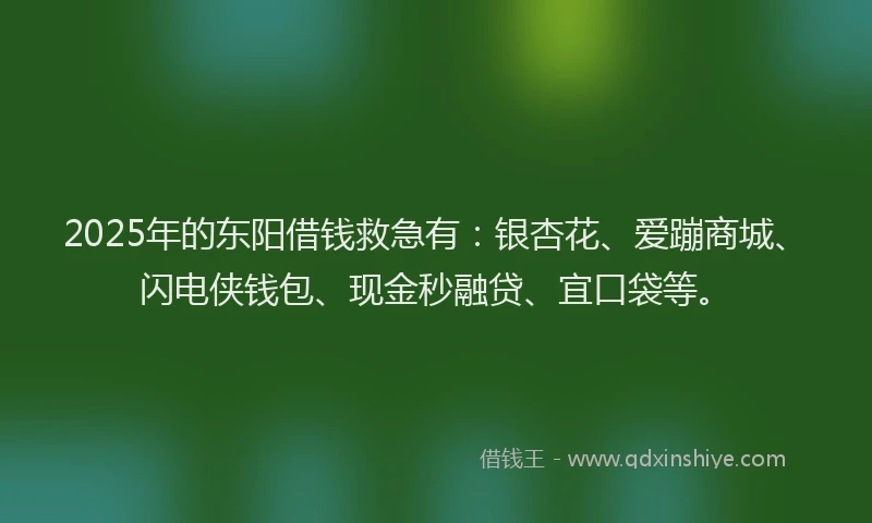 2025年的东阳借钱救急有：银杏花、爱蹦商城、闪电侠钱包、现金秒融贷、宜口袋等。