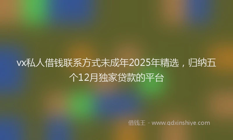 vx私人借钱联系方式未成年2025年精选,归纳五个12月独家贷款的平台