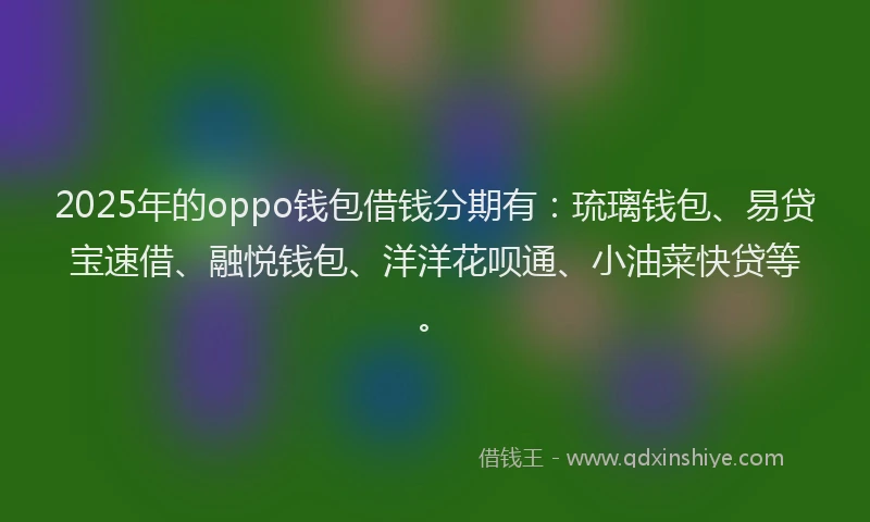 2025年的oppo钱包借钱分期有：琉璃钱包、易贷宝速借、融悦钱包、洋洋花呗通、小油菜快贷等。