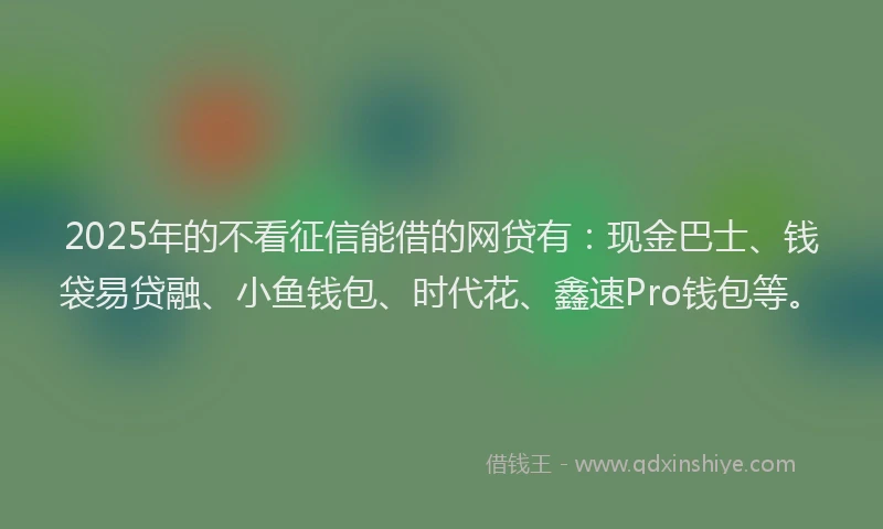 2025年的不看征信能借的网贷有：现金巴士、钱袋易贷融、小鱼钱包、时代花、鑫速Pro钱包等。
