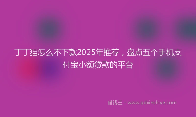 丁丁猫怎么不下款2025年推荐，盘点五个手机支付宝小额贷款的平台