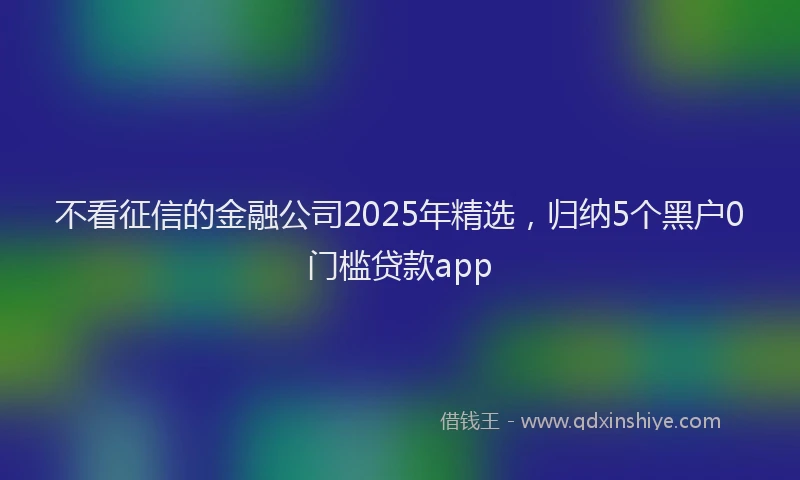 不看征信的金融公司2025年精选，归纳5个黑户0门槛贷款app