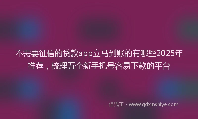 不需要征信的贷款app立马到账的有哪些2025年推荐，梳理五个新手机号容易下款的平台