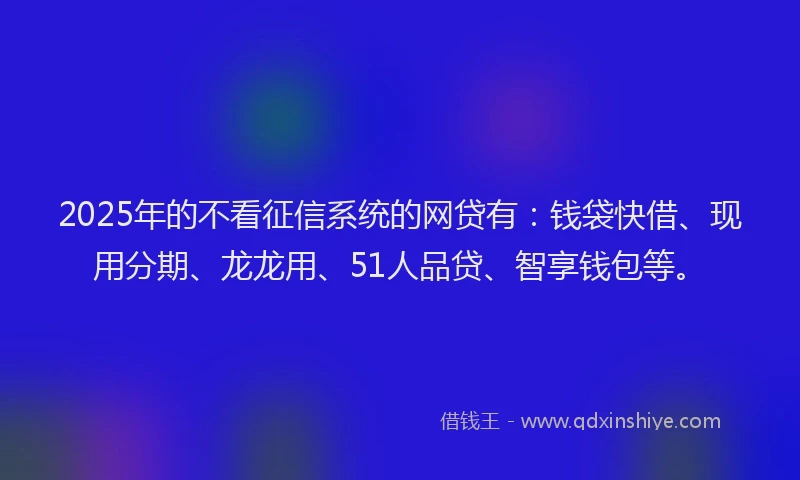 2025年的不看征信系统的网贷有：钱袋快借、现用分期、龙龙用、51人品贷、智享钱包等。