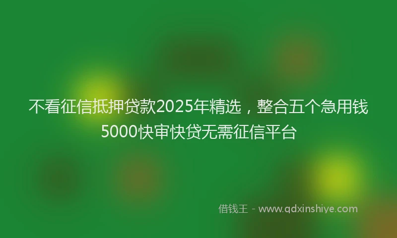 不看征信抵押贷款2025年精选，整合五个急用钱5000快审快贷无需征信平台