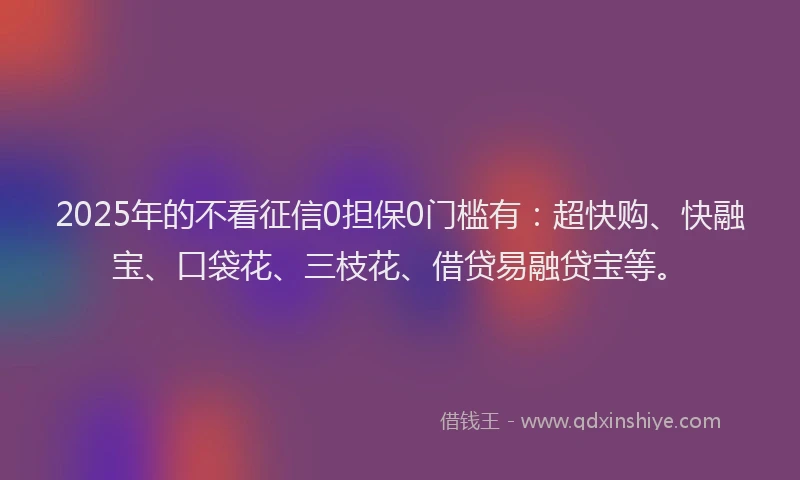 2025年的不看征信0担保0门槛有：超快购、快融宝、口袋花、三枝花、借贷易融贷宝等。