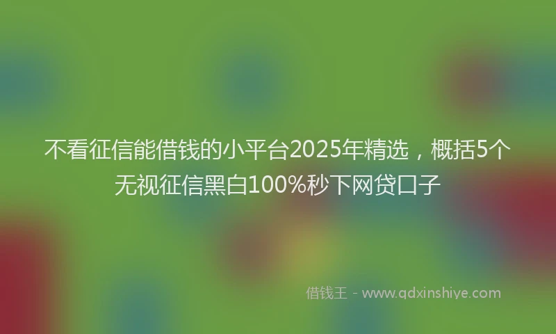 不看征信能借钱的小平台2025年精选，概括5个无视征信黑白100%秒下网贷口子