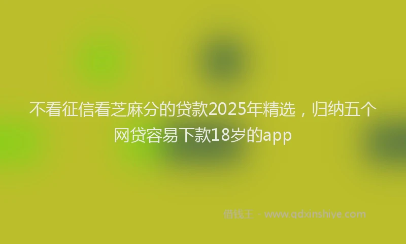 不看征信看芝麻分的贷款2025年精选，归纳五个网贷容易下款18岁的app