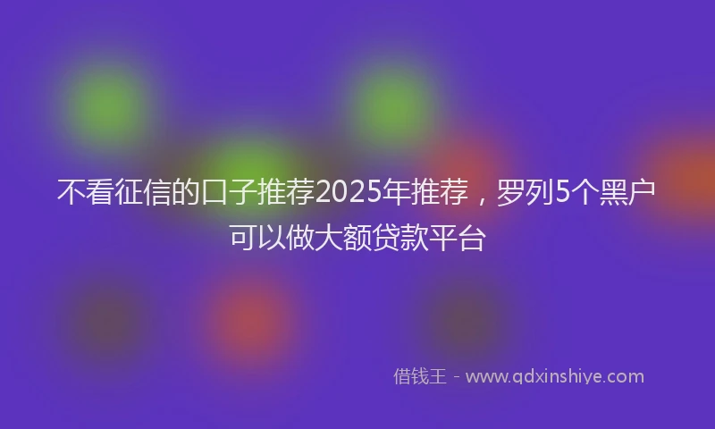不看征信的口子推荐2025年推荐，罗列5个黑户可以做大额贷款平台