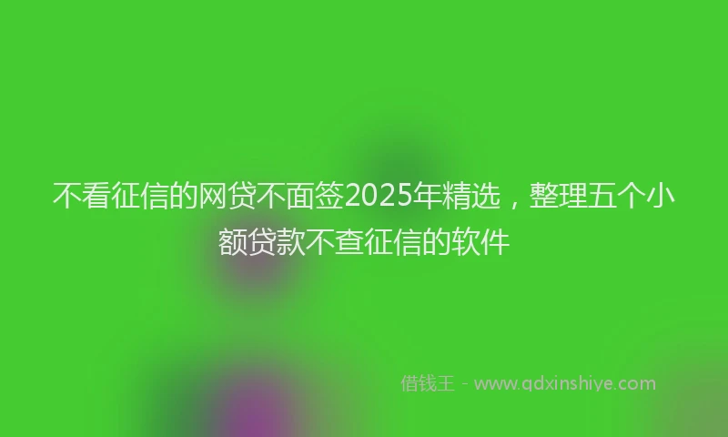 不看征信的网贷不面签2025年精选，整理五个小额贷款不查征信的软件