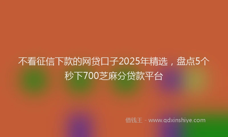 不看征信下款的网贷口子2025年精选，盘点5个秒下700芝麻分贷款平台