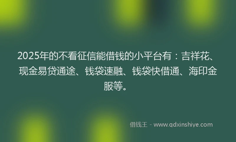 2025年的不看征信能借钱的小平台有：吉祥花、现金易贷通途、钱袋速融、钱袋快借通、海印金服等。
