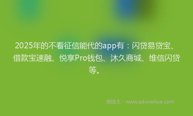2025年的不看征信能代的app有：闪贷易贷宝、借款宝速融、悦享Pro钱包、沐久商城、维信闪贷等。