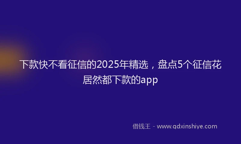 下款快不看征信的2025年精选，盘点5个征信花居然都下款的app