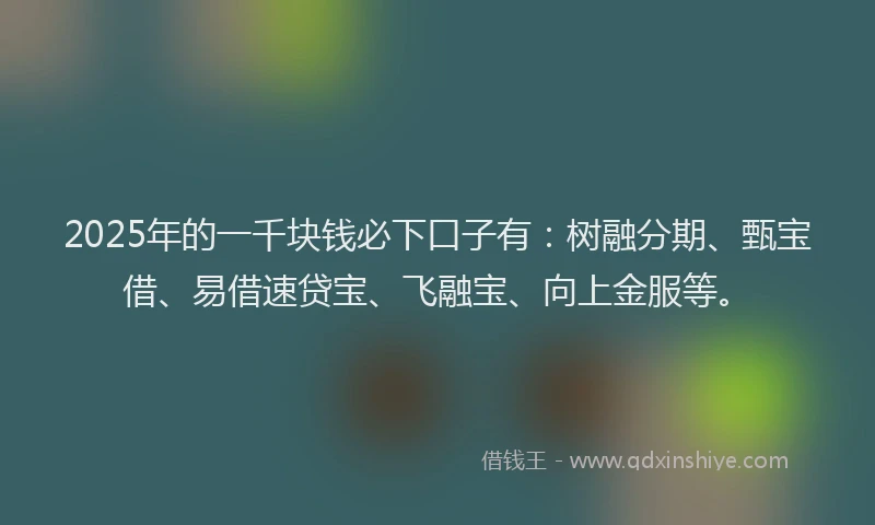 2025年的一千块钱必下口子有：树融分期、甄宝借、易借速贷宝、飞融宝、向上金服等。