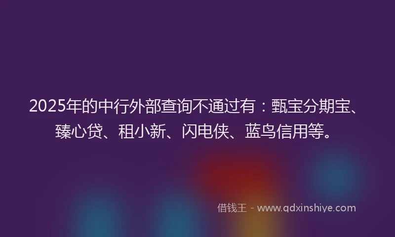 2025年的中行外部查询不通过有：甄宝分期宝、臻心贷、租小新、闪电侠、蓝鸟信用等。