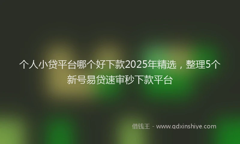 个人小贷平台哪个好下款2025年精选，整理5个新号易贷速审秒下款平台