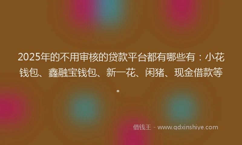 2025年的不用审核的贷款平台都有哪些有：小花钱包、鑫融宝钱包、新一花、闲猪、现金借款等。