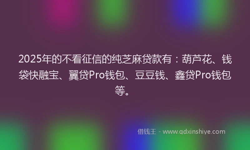 2025年的不看征信的纯芝麻贷款有：葫芦花、钱袋快融宝、翼贷Pro钱包、豆豆钱、鑫贷Pro钱包等。