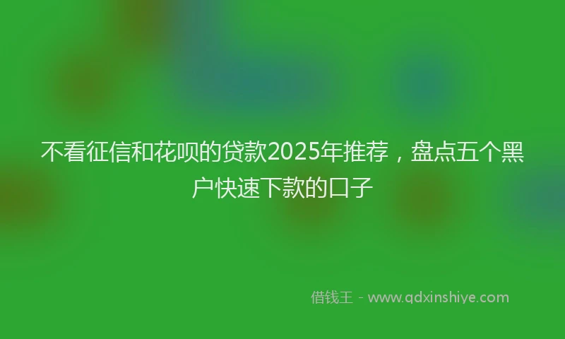 不看征信和花呗的贷款2025年推荐，盘点五个黑户快速下款的口子