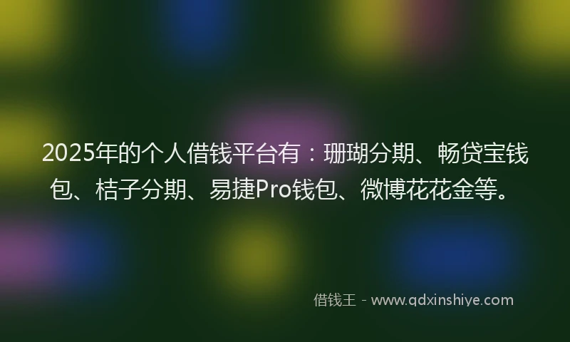 2025年的个人借钱平台有：珊瑚分期、畅贷宝钱包、桔子分期、易捷Pro钱包、微博花花金等。