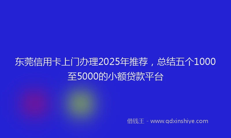 东莞信用卡上门办理2025年推荐，总结五个1000至5000的小额贷款平台