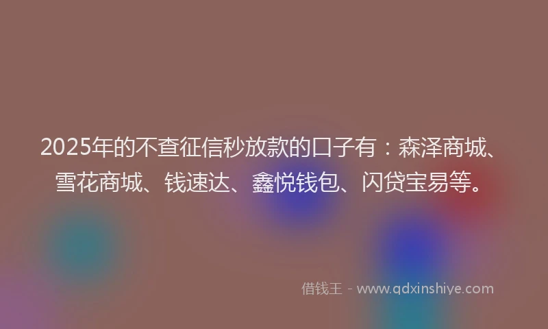 2025年的不查征信秒放款的口子有：森泽商城、雪花商城、钱速达、鑫悦钱包、闪贷宝易等。
