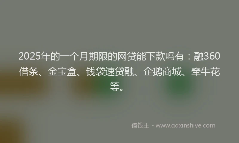 2025年的一个月期限的网贷能下款吗有：融360借条、金宝盒、钱袋速贷融、企鹅商城、牵牛花等。