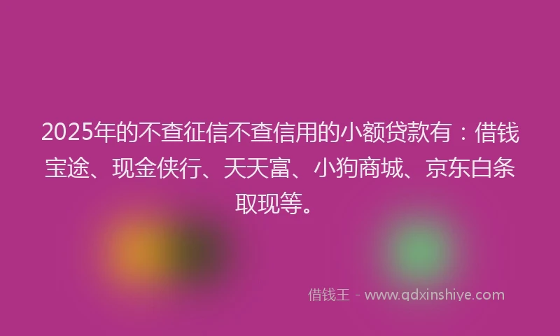 2025年的不查征信不查信用的小额贷款有：借钱宝途、现金侠行、天天富、小狗商城、京东白条取现等。