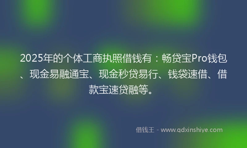 2025年的个体工商执照借钱有:畅贷宝Pro钱包、现金易融通宝、现金秒贷易行、钱袋速借、借款宝速贷融等。