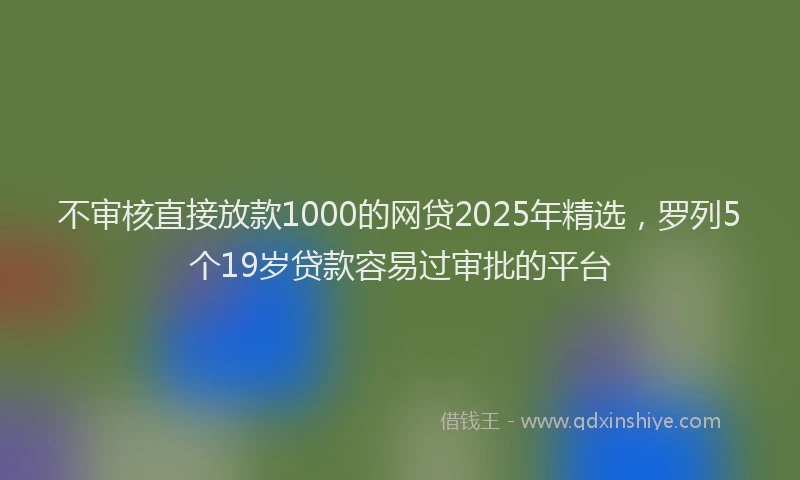 不审核直接放款1000的网贷2025年精选，罗列5个19岁贷款容易过审批的平台